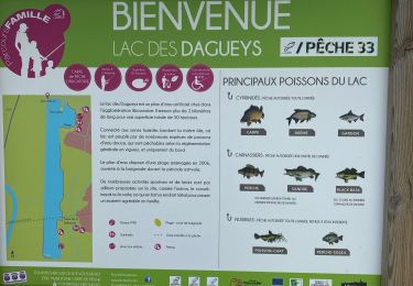 Tour sport Libourne - Libourne en Gironde - Photo