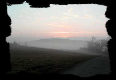 Trail On foot Hintertiefenbach - Rundweg I1 - Photo