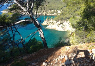 Trail Walking Bandol - Bandol Port d'Alon - Photo