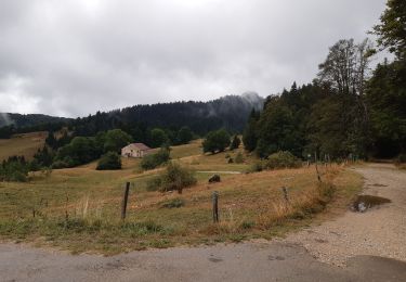 Trail Walking La Pesse - GTJ jour 17 - Photo