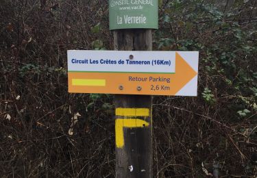 Tour Wandern Tanneron - Mimosa  - Photo