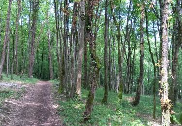 Tour Wandern Souligny - Souligny 26km,DC+730m le 27/05/2021 - Photo