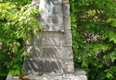 Tour Wandern Fontainebleau - Croix de Souvray 070521 - Photo