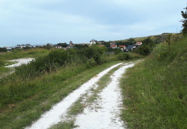 Percorso Marcia Mers-les-Bains - Falaise, mouettes, ville et campagne  - Photo