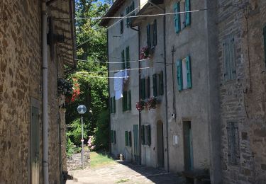 Trail Walking Lizzano in Belvedere - Lizzano in Belvedere-Pianaccio - Photo