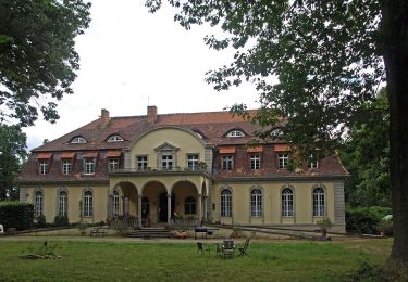 Tour Zu Fuß Hohendubrau - Grüner Strich - Rundweg 22 km - Photo