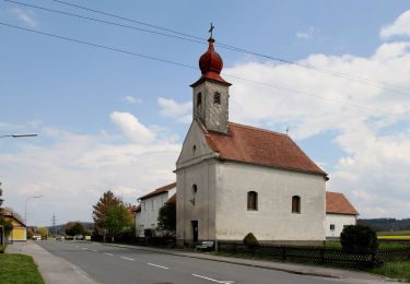 Tocht Te voet Gemeinde Atzenbrugg - Perschlingtalrunde - Photo