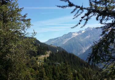 Trail Walking Chamonix-Mont-Blanc - lac blanc - Photo