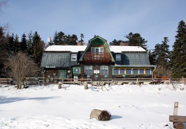 Excursión A pie Gemeinde Höflein an der Hohen Wand - Unter Höflein Bhf - Hubertushaus über Springlessteig - Photo