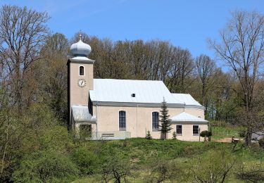 Trail On foot Gemeinde Kaumberg - Kaumberg - St. Corona - Schöpfl (Matraswarte) - Photo