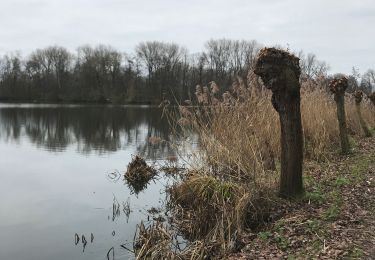 Tocht Stappen Berlare - Rond Donkmeer en Nieuwdonk - Photo