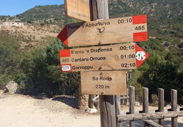 Tocht Stappen Durgali/Dorgali - Ponte Sa Barva à la Gola di Gorropu 1.10.23 - Photo