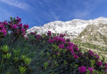 Trail On foot Ceresole Reale - IT-539 - Photo