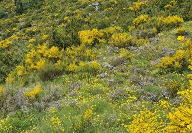 Tour Wandern Pierlas - PIERĹAS FFRS - Photo