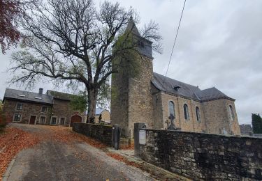 Tocht Stappen Manhay - rando dochamps 27/10/2020 - Photo