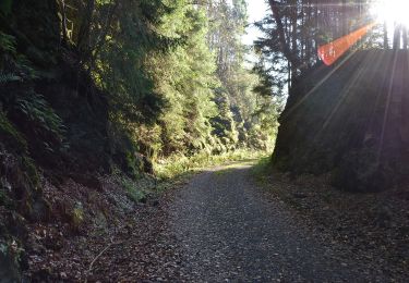 Randonnée A pied Harz (Landkreis Göttingen) - Harzer Baudensteig Etappe 5 - Photo