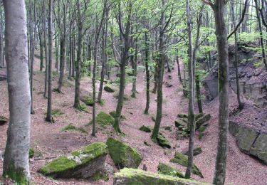 Percorso A piedi Santa Sofia - Sentiero Natura Cullacce - Photo