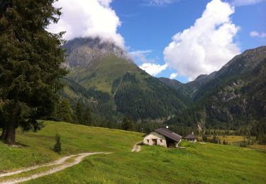 Tour Zu Fuß Breno - Gaver - Monte Bruffione - Malga Bruffione - Photo