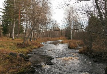 Trail On foot  - Kristian Lien-stien - Photo