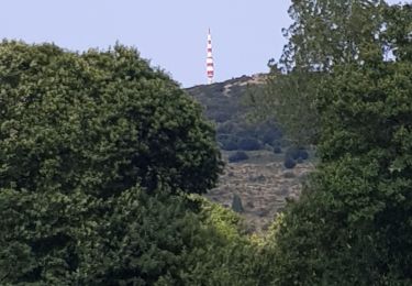 Randonnée Marche Pradelles-Cabardès - Pradelles Cabardès - Photo