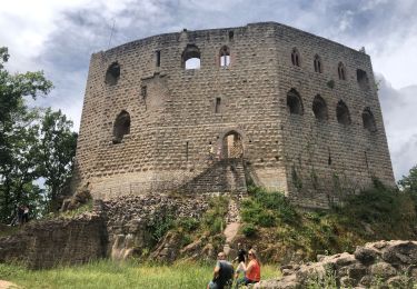 Tour Wandern Mittelbergheim - Ballade au château d’Andlau avec Sabine et Serge - Photo