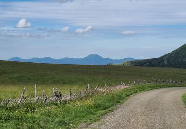 Tour Wandern Orcival - 2021-07-02 lac de guéry - puy gros -banne d'ordanche - Photo