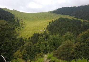 Tocht Stappen Prats-de-Mollo-la-Preste - pas sur - Photo