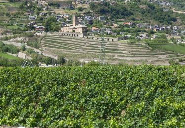 Percorso Marcia Aymavilles - vignes - Photo
