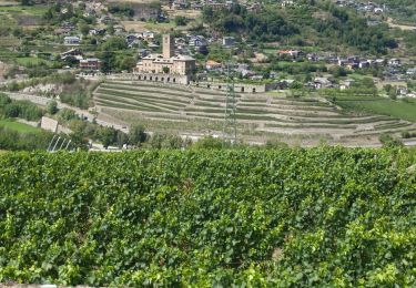 Trail Walking Aymavilles - vignes - Photo