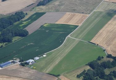 Tour Zu Fuß Neuensorger Forst - Lichtenfelser Nordweg - Photo