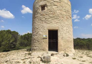 Tour Wandern Fontvieille - Fontvielle - Aqueduc et Moulins - Photo