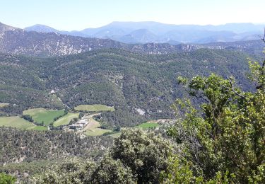 Randonnée Marche Nyons - Montagne de Vaux - Photo