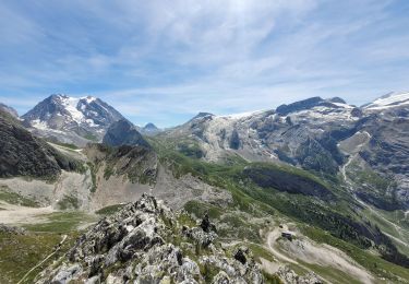 Trail Walking Pralognan-la-Vanoise - pointe de Leschaux - Photo