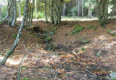 Tour Wandern Astet - Col de la Chavade-Banne-Source de l'Ardèche V2 - Photo