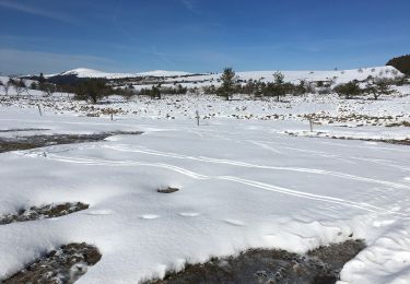 Tour Zu Fuß Valcivières - Les Hautes Chaumes - Photo