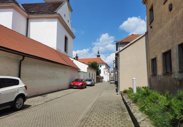 Percorso A piedi Kunovice - Včelařská NS - Photo