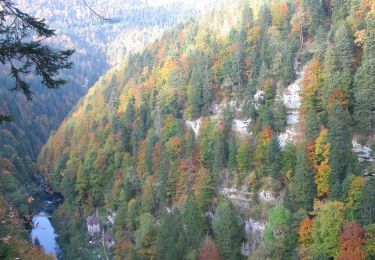 Percorso A piedi Les Planchettes - Barrage du Châtelot - Saut du Doubs - Photo