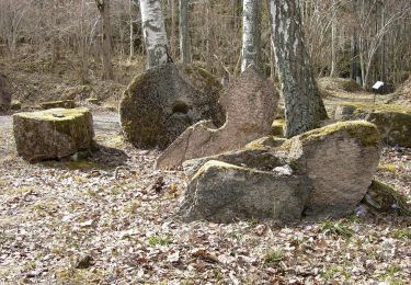 Randonnée A pied  - Stenhuggarstigen - Photo