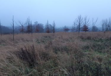 Percorso Marcia Sprimont - plain de fagne . adzeux . rouge thier . grand pierreux . plain de fagne - Photo