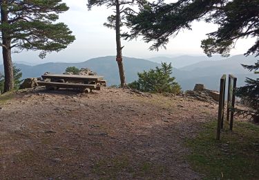 Tour Wandern Satillieu - satilleux Vérines mont Chaix le traiteur la garenne - Photo