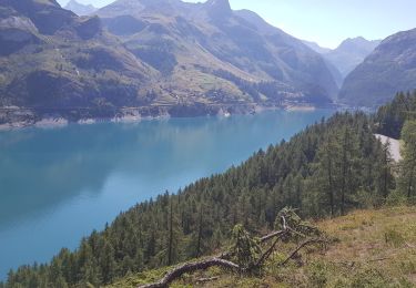 Tour Wandern Tignes - MMV - dessus de la boisse - Photo