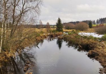 Tocht Stappen Waimes - Wandeling Peak Beer blonde  (new) - Photo