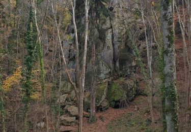 Tocht Stappen Royat - gravenoireGargantua - Photo