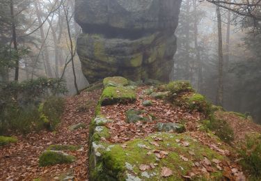 Trail Walking Ottrott - la bloss 14.11.24 - Photo