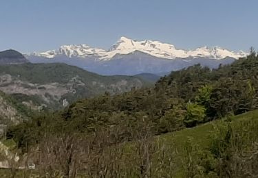 Trail Walking Bayons - BAYONS  . col des Sagnes , Peyrouret , Picouse , bergerie de Gautiere , Piaure , Giaire n - Photo