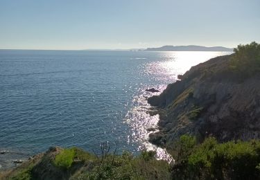 Randonnée Marche Hyères - La Badine Giens Est  - Photo