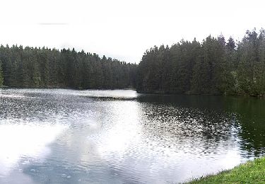 Tour Zu Fuß Clausthal-Zellerfeld - HK 4: Neckelnberg, Seesen - Bad Grund - Wildemann - Langelsheim - Photo