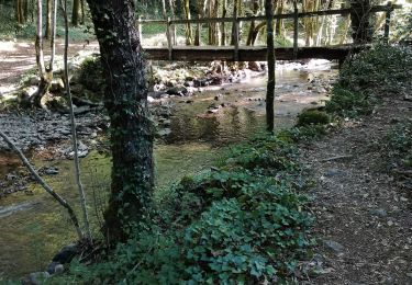 Trail Walking Ladirat - vallée heureuse  - Photo