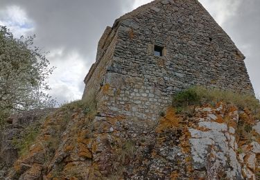 Trail Walking Saint-Germain-sur-Ay - St germain sur Ay - Photo