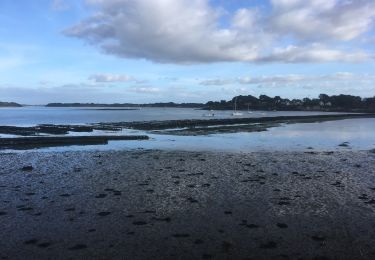 Tour Wandern Saint-Gildas-de-Rhuys - 2021-01-17 GR 34 APRÈS LE LOGO  - Photo